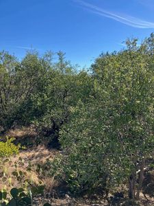 700 Pinto, Horseshoe Bay, TX, 78657