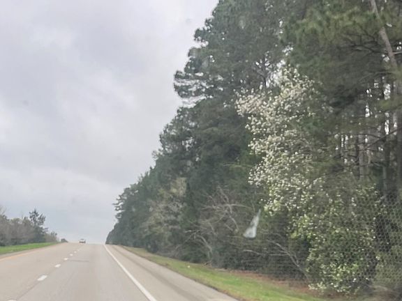 2nd image of (Undisclosed Address)