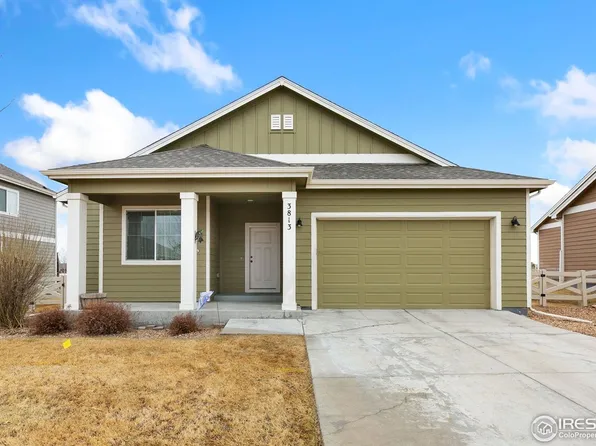 3813 Ginkgo St, Wellington, CO 80549
