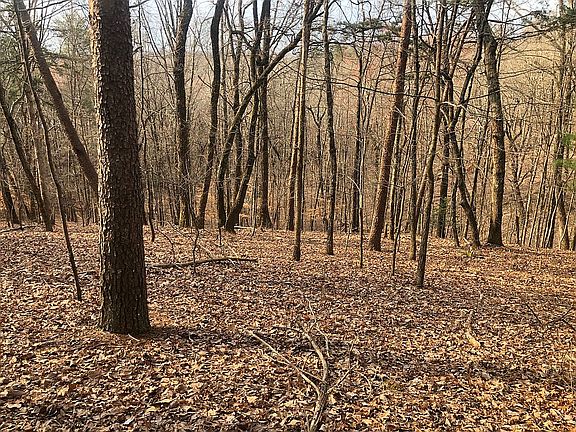 2nd image of 190 Comfort Ln #44