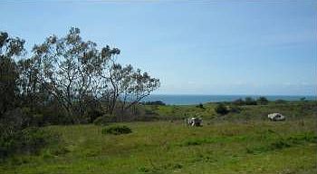 4th image of 144 Zanzibar Dr