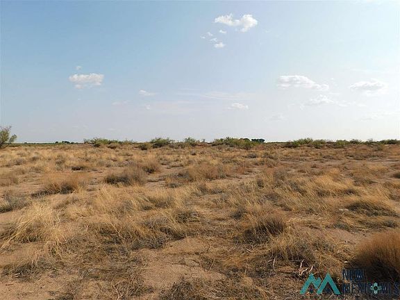 2nd image of Earl Scott Trl SW