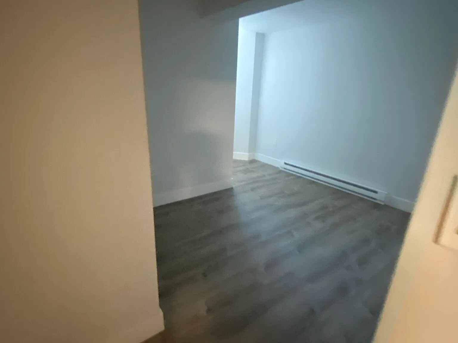 2 bed, 999 sqft, $3,350 — Photo 4
