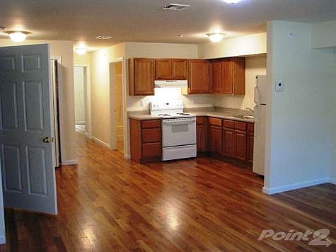 Oak Kitchen Cabinets