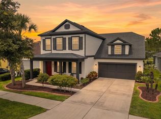 14722 Caravan Ave, Odessa, FL 33556