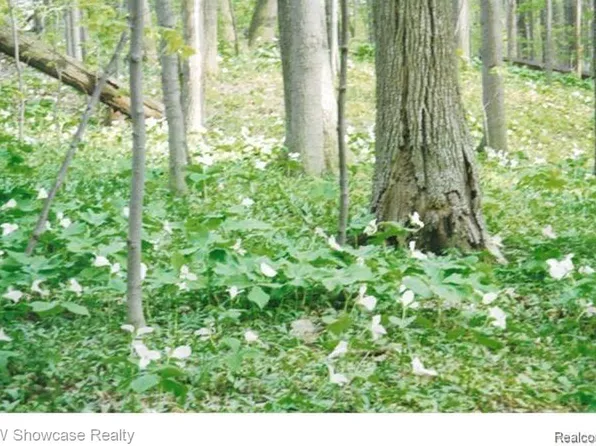 1970 Thorncrest Ct, Commerce Township, MI 48382