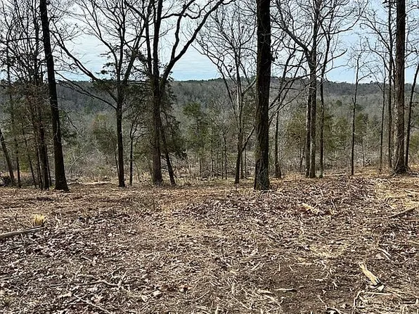 205 Kerr Mickle Rd, Gillham, AR 71841