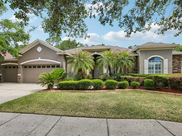 20639 Longleaf Pine Ave, Tampa, FL 33647