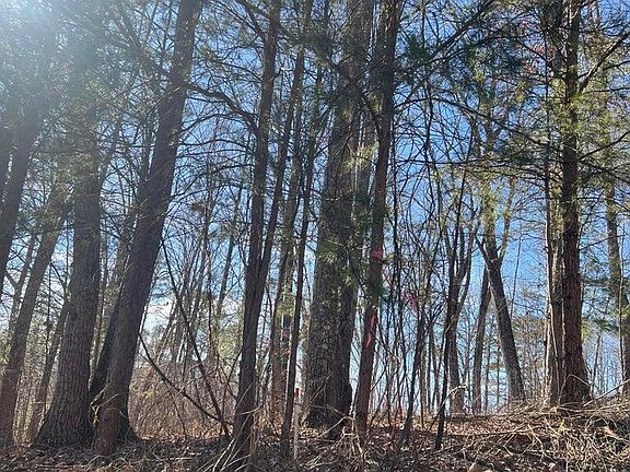 2nd image of 1012 Country Mountain Rd