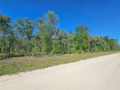 13371 NE 9th St LOT 9, Williston, FL, 32696