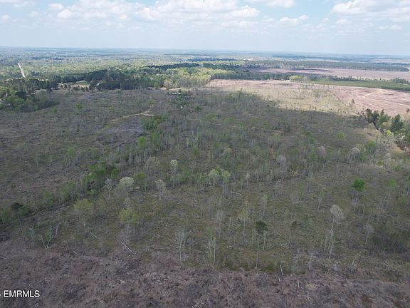 2nd image of 0 Hayes Nute Rd