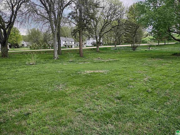 3rd image of Brule Linden Evergreen St