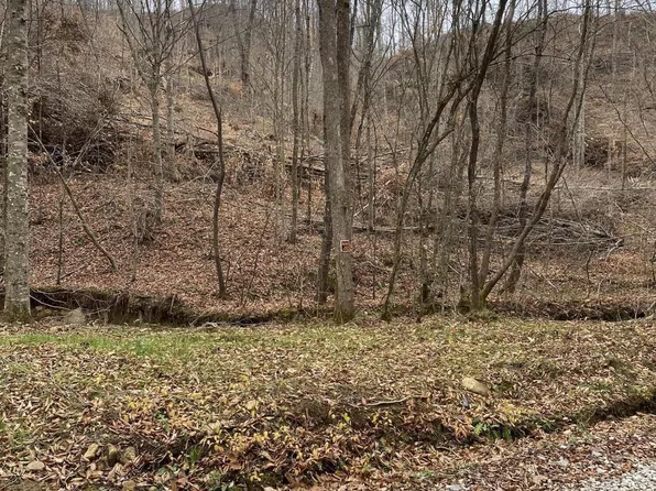 17 Stanley Creek Rd, Oneida, TN 37841