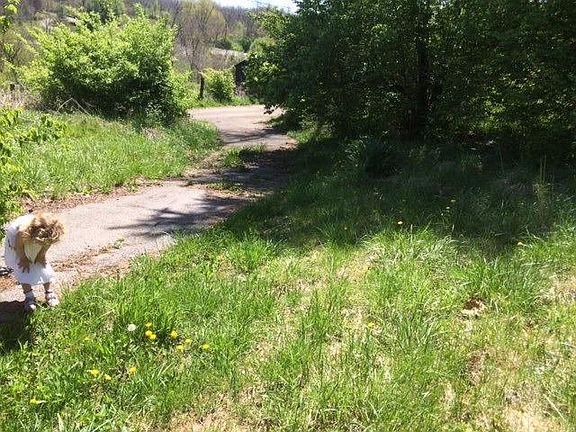 4th image of 880 Old Frankfort Pike