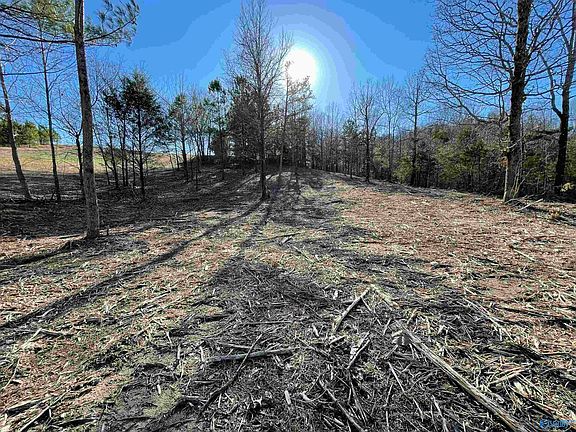 3rd image of LOT 440 Four County Rd #5-545