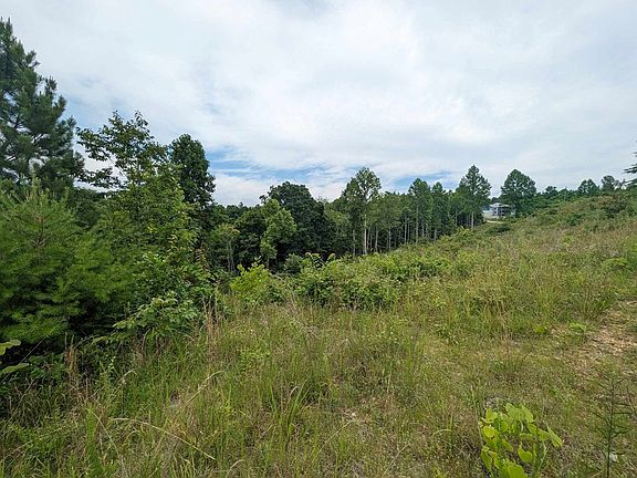 2nd image of 0 Stoney Point Rd