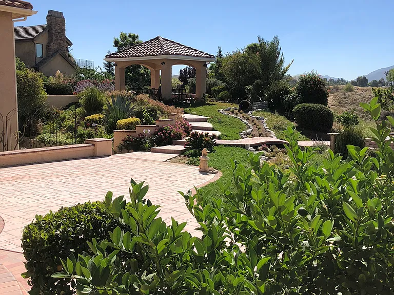 Back yard
