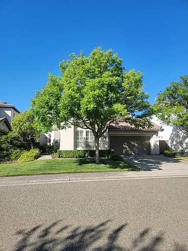 1492 Berriedale Ct Photo 1