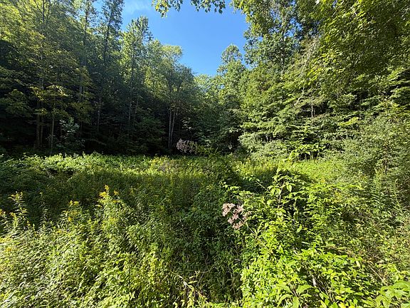 3rd image of Markham Fork Rd Lot Wp001