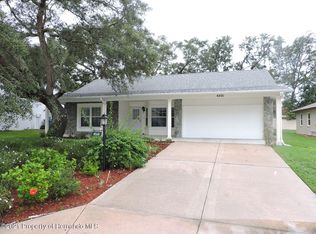 6401 Ocean Pines Ln, Spring Hill, FL 34606