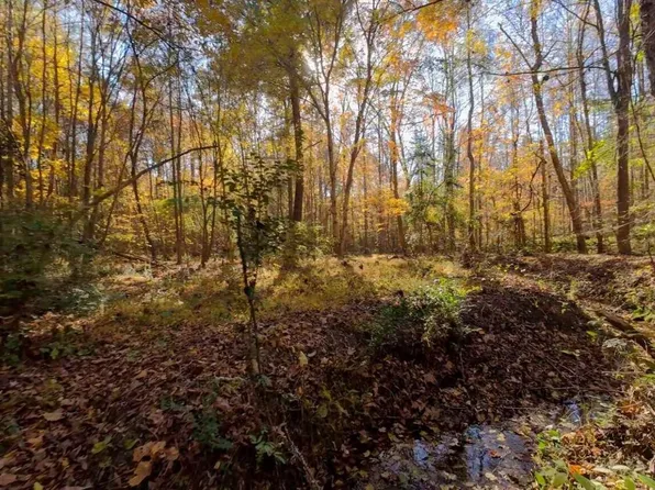 0 Hwy 903 Eaton Ferry Road, Littleton, NC 27850