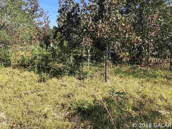 3rd image of 5600 County Road 214