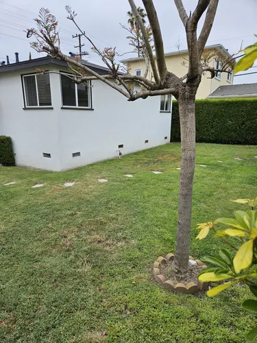 2208 Aviation Way Photo 1