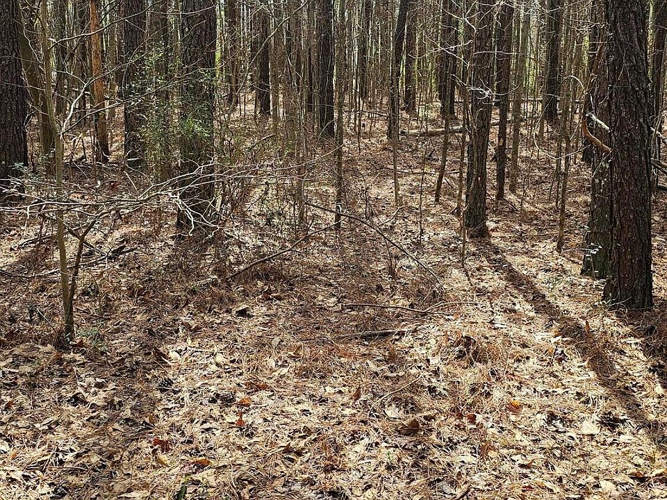 2nd image of Harbor Road Co Hwy #61