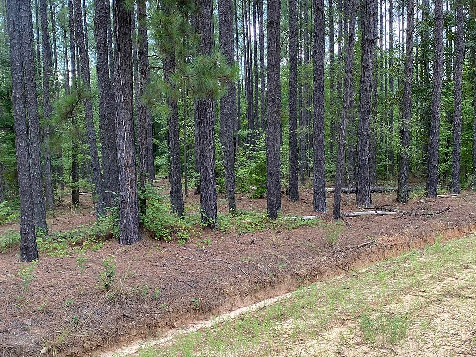 0 Jones Chapel Rd, Bartow, GA 30413 MLS 20137351 Zillow