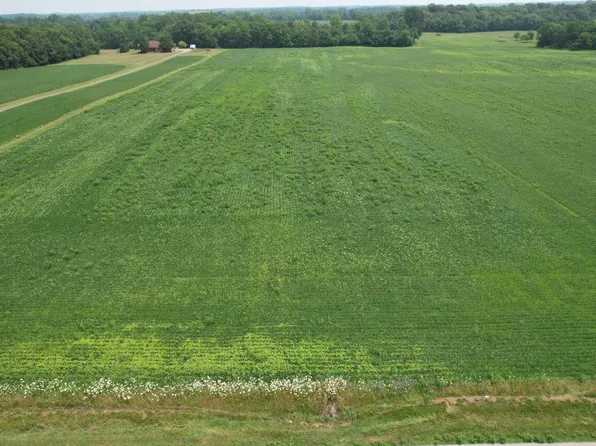 County Road 49, Belle Center, OH 43310