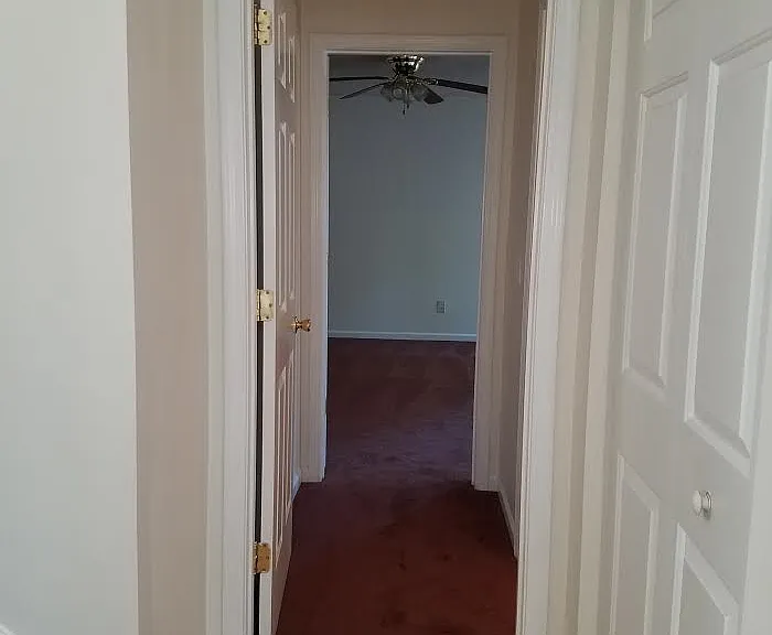 219 Pineclave Cir — Photo 5