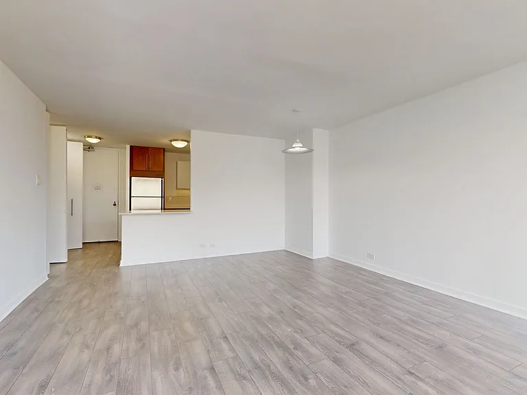 Dining/Living room