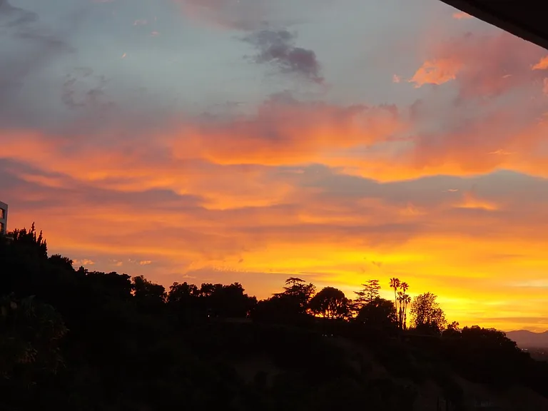 3 Sunswept Dr — Photo 45