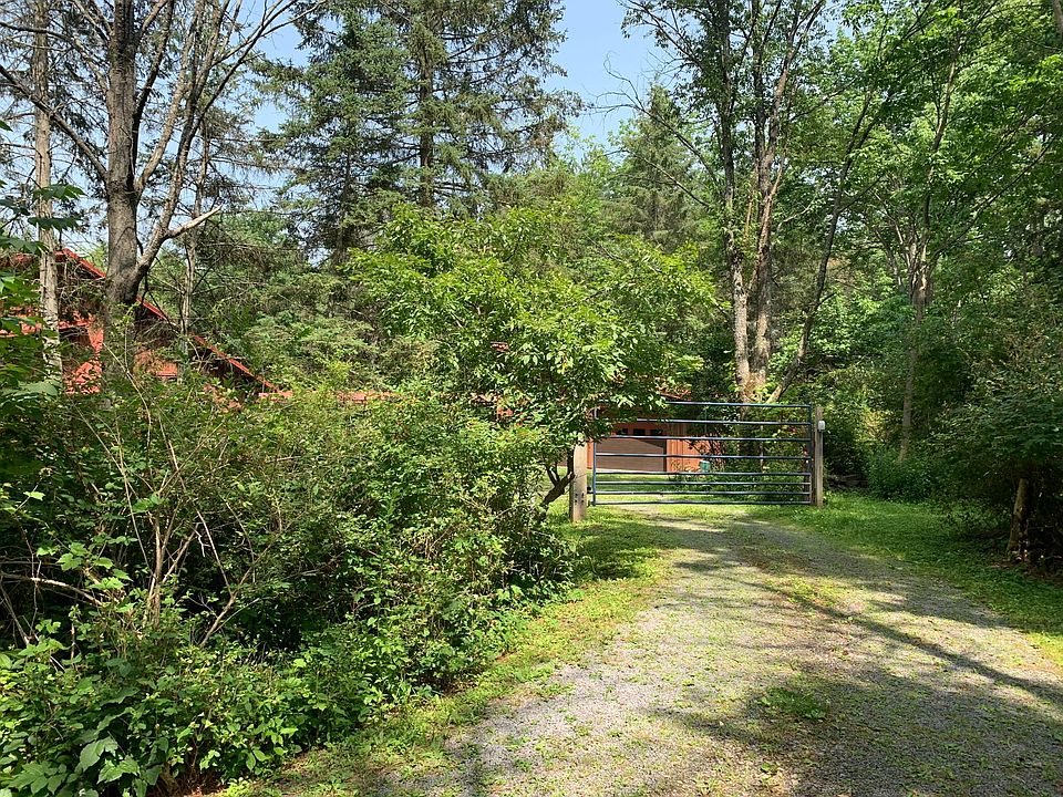 Driveway and front gate