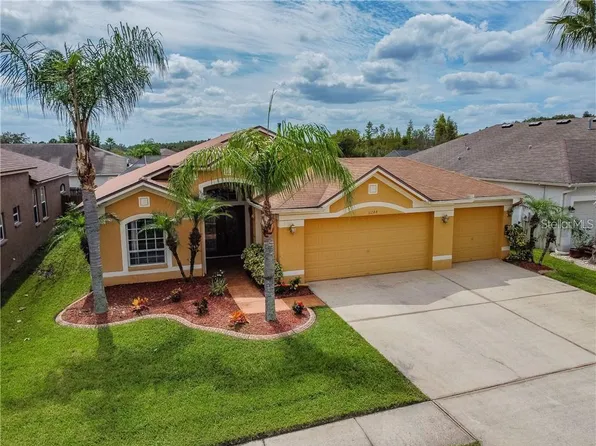 31244 Crestmont Ct, Wesley Chapel, FL 33543