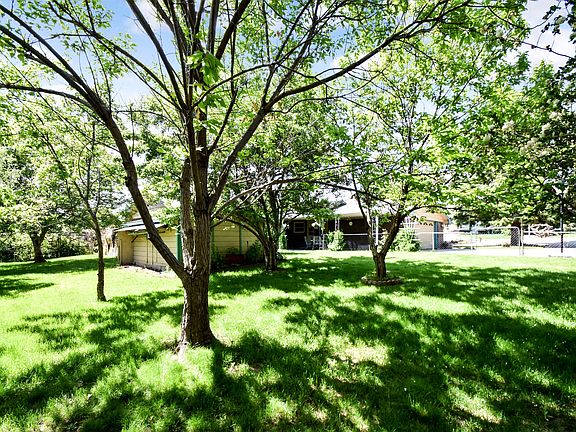 Back Yard w Fruit Trees