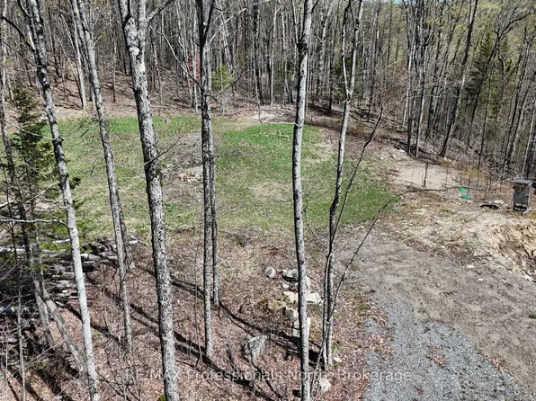 1199 Cedar Lake Rd, Highlands East, ON K0L 2Y0