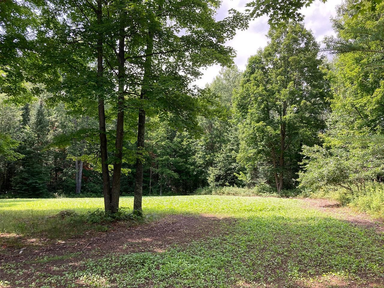 Perch Ln, Pickerel, WI 54465 MLS 202940 Zillow