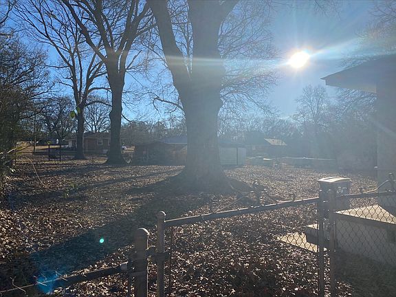 Backyard_01102023