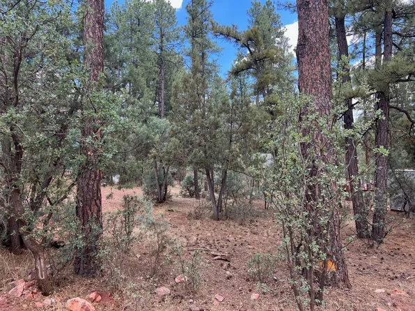 LOT 32 W Pinewood Ln, Pine, AZ 85544