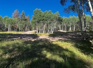 1255 Spruce Rd, Cimarron, CO 81220