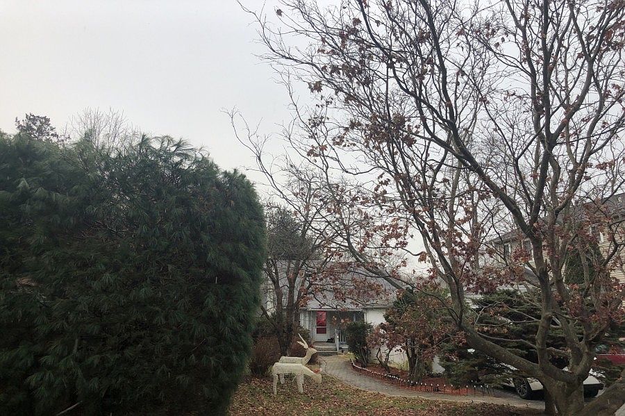 2nd image of 78 Demarest St