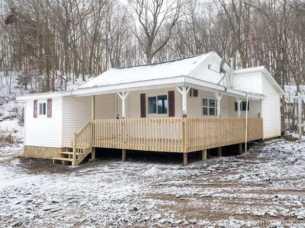 5210 Bluewater Hwy, Saranac, MI 48881