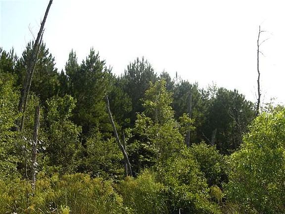5th image of TBD Pineywood Church Road