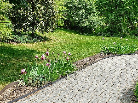 Garden walkway to front
