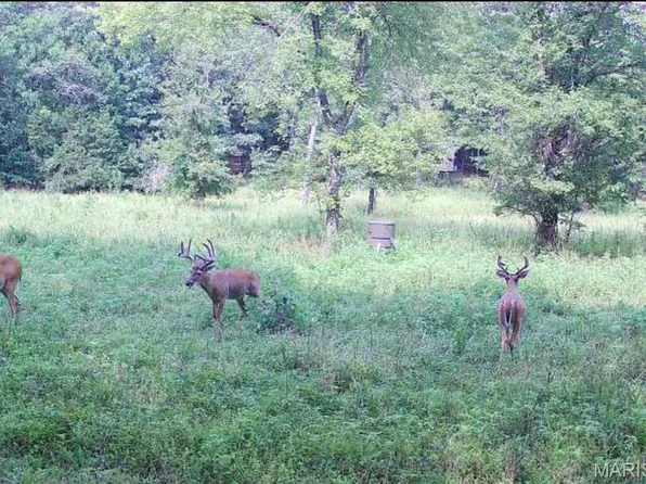 0 Carter Rte N #254, Grandin, MO 63943