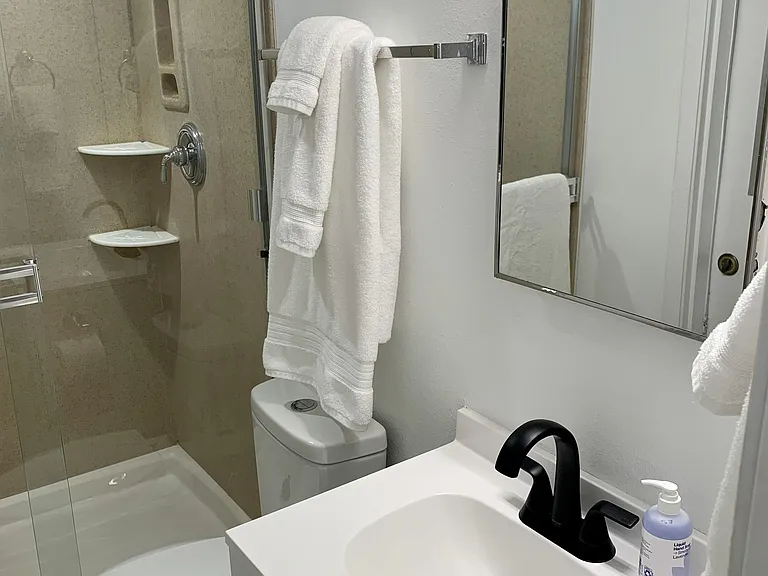 Primary Bath