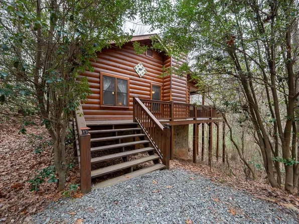 1165 Little Bushy Head Rd, Blue Ridge, GA 30513