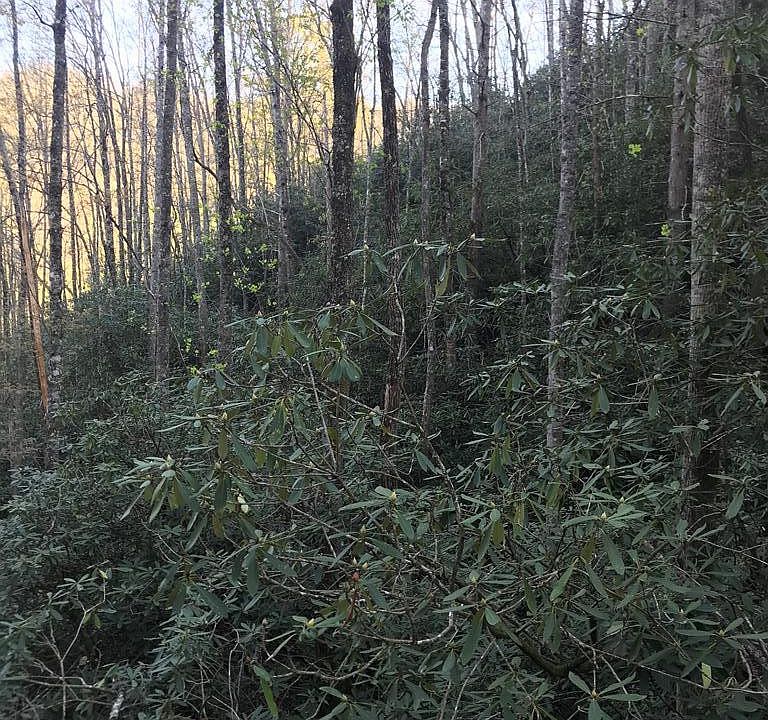 1st image of 604 Upper Sawyers Creek