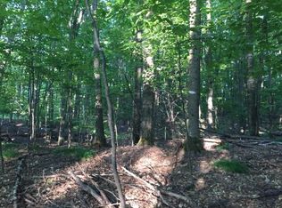 N Forest Lake Rd LOT 29, Land O Lakes, WI 54540
